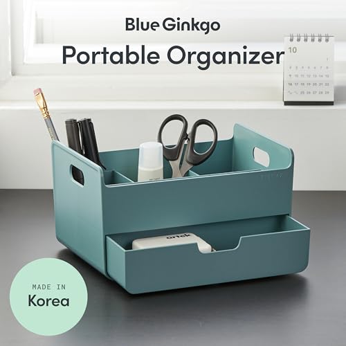 BLUE GINKGO Portable Desk Organizer, Green, Made in Korea - color: GREEN, size: Portable