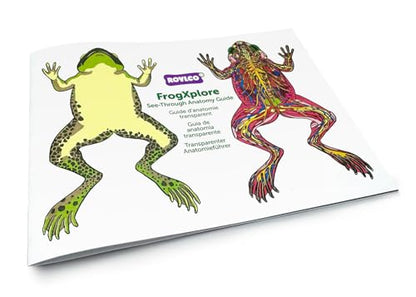 Roylco FrogXplore See-Through Frog Anatomy Kit, Ages 5+