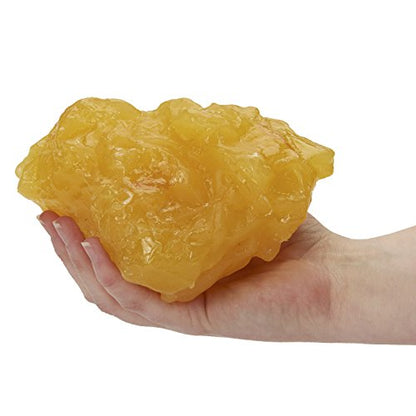 Nasco WA14533 Human Body Fat Replica, 1 lb.