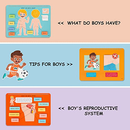 Freebear Montessori Busy Book for Kids, Human Body Anatomy Book for Toddlers, Preshool Kindergarten Learning Activities, Autism Sensory Toys, Gifts for Girls and Boys 4-7 Years- Human Body Procreation - style: Human Body Procreation