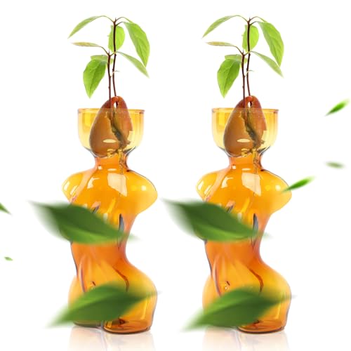 Plant Propagation Jars Unique Body Avocado Vase - color: Amber