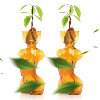 Plant Propagation Jars Unique Body Avocado Vase - color: Amber