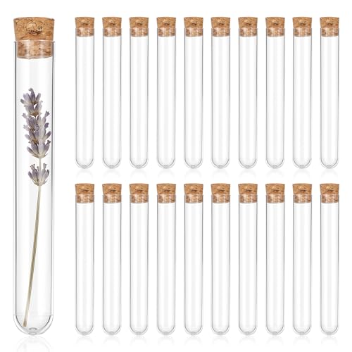 20 PCS Clear Plastic Test Tubes with Cork Stoppers, 10ml Transparent Vials Test Tube Container for Plants, Candy, Beads, DIY Decoration, Liquid Storage