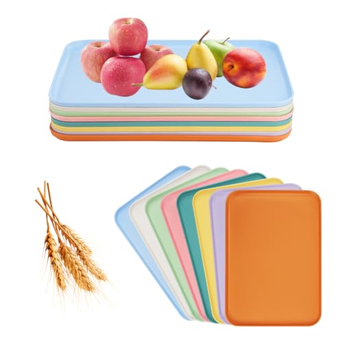 8-Piece Wheat Straw Tray Craft Tray Set 12" x 8.7" Art Trays Serving Dishes - size: Medium