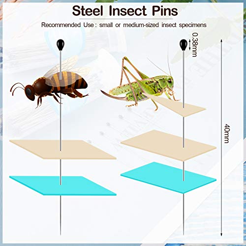 WILLBOND 500 Pieces Stainless Steel Insect Pins Kit Specimen,2 Sizes - size: 2 Size