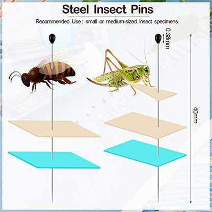 WILLBOND 500 Pieces Stainless Steel Insect Pins Kit Specimen,2 Sizes - size: 2 Size