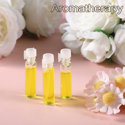 100PCS Empty Perfume Sample Bottles, Transparent Clear 1ml 1/4 Dram Empty Glass Sample Vials, Mini Glass Refillable Samples Vial Containers with Clear Cap for Aromatherapy, Essential Oil, Fragrance