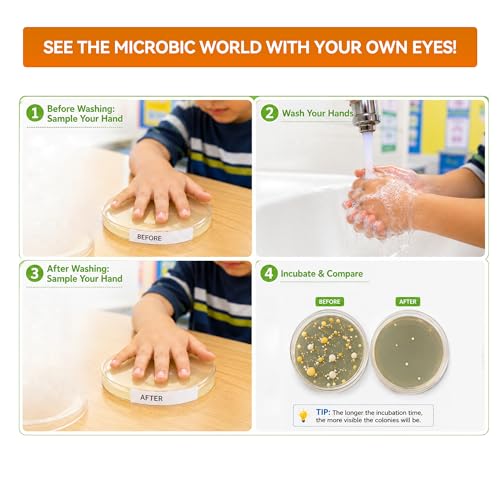 Kids Bacteria Handprint Kit - 2 Giant 150mm Prepoured Agar Petri Dishes - color: Kids Bacteria Handprint Kit