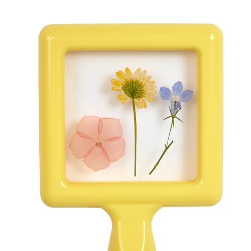 Environments Toddler, Preschool Early STEM, Specimen Viewers for Kids, Science Education Set of 4 - style: Specimens Set #4