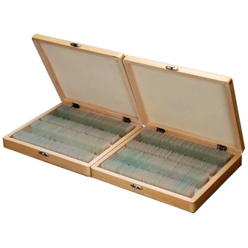 AmScope PS200 Basic Biology Prepared Slide Set, 200 Slides