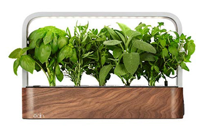 edn Indoor Smart Garden with Basil SeedPods for iOS Devices