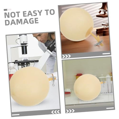 Latex Laboratory Sampling Bladder 4 X Sampling Gas Bladder