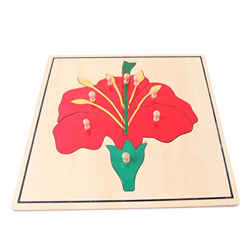 Adena Montessori Materials Botany Puzzle Cabinet (3 Puzzles Included)
