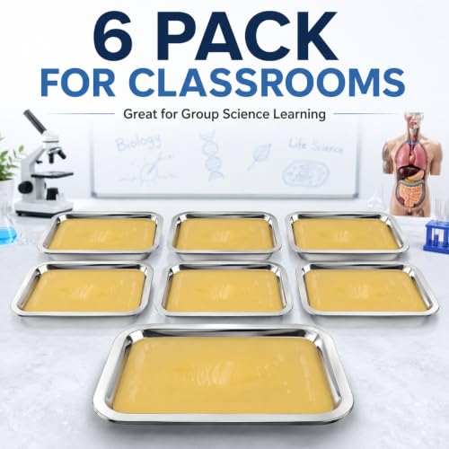iplusmile 6 Pack Dissection Trays with Wax, 10.2 x 7.5 Inch Stainless Steel Dissection Pans, Reusable Wax Lab Trays for Biology Classroom Anatomy Science Education - color: Yellow