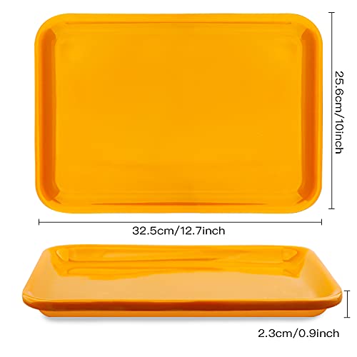 Plastic Art Trays Art and Craft Tray Plastic Tray,5 Pieces Stackable Activity Tray Crafts Organizer Tray Serving Tray Jewelry Tray for DIY Projects, Painting, Beads (12.8 x 10 x 0.7 Inches)