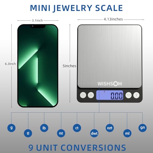 Professional Jewelry Scale, 500g x 0.01g High Precision Digital Gold Scale, Portable Precious Metal Gram Scale for Jewelers, Pawn Shops, Coin Dealers, Gold & Silver Weighing