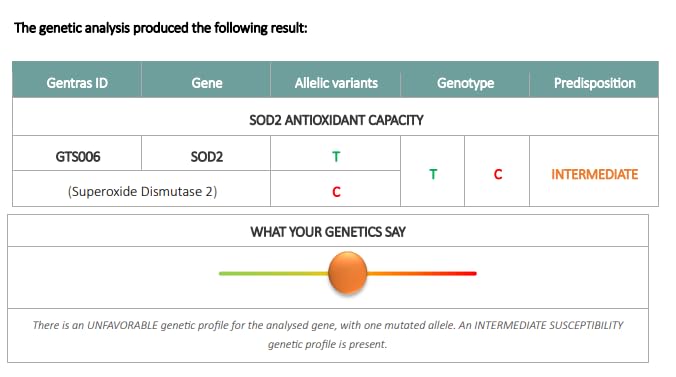 Affinity Alopecia DNA Test Kit for Personalised Recommendations Against Hair Loss- Results in 10-15 working days - Home Sample Collection Kits from AffinityDNA