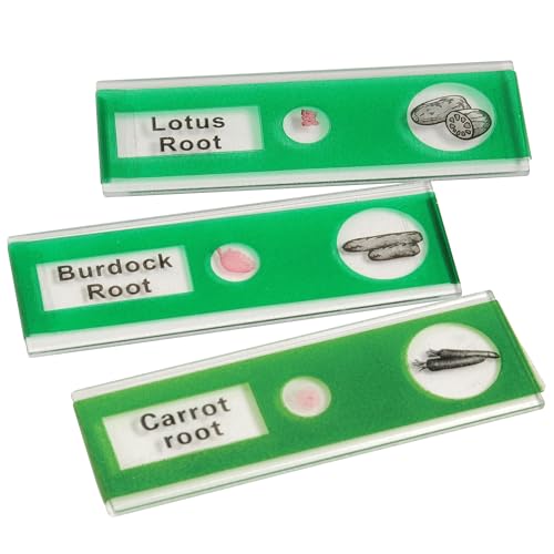 Prepared Microscope Slides for Kids – 24 Plastic Plant & Vegetable Specimens with Labels & Images – Safe, Durable Biology Science Kit for Students Ages 8+ - size: Plant & Vegetable -24 pc