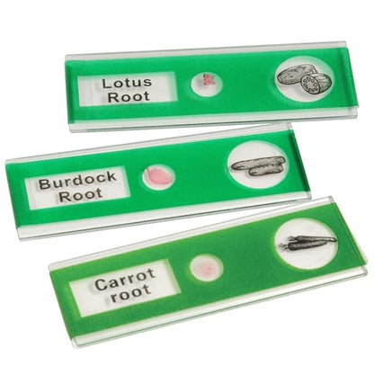 Prepared Microscope Slides for Kids – 24 Plastic Plant & Vegetable Specimens with Labels & Images – Safe, Durable Biology Science Kit for Students Ages 8+ - size: Plant & Vegetable -24 pc