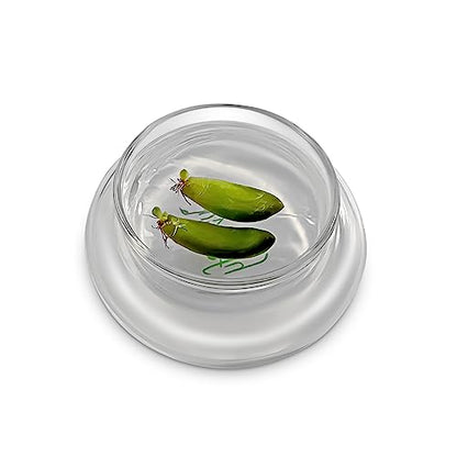 Bloomify Terra Gel Plant Propagation Seed Starter Tray with Glass Dome – Advanced Technology Gardening Supplies Plant Propagation Station for Succulents – Easy to Use Seed Starter Kit
