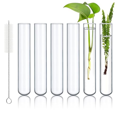 6pcs 100ml Large Glass Test Tube, 30x200mm Propagation Tube for Plant - size: 30 x 200