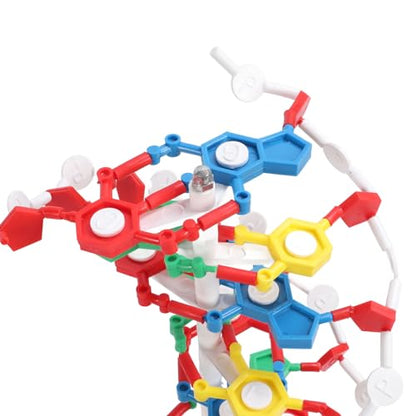 DNA Structure Model Plastic Educational DNA Model Teaching Equipment