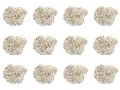 EISCO 12PK Raw Volcanic Tuff, Igneous Rock Specimens - Approx. 1" Geologist Selected & Hand Processed Great for Science Classrooms Class Pack- Eisco Labs