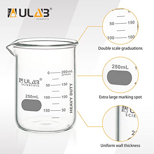 ULAB Heavy Duty Glass Beakers, 6pcs of Vol.250ml(8.45oz), Borosilicate 3.3 Glass, Thick Wall Beakers, with Double Scale, Superior Durability & Chemical Resistance, UBG1055 - style: 6pcs of Vol.250ml
