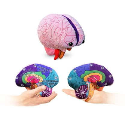 GIANTmicrobes Brain Model Anatomy Plush with Embroidered Details