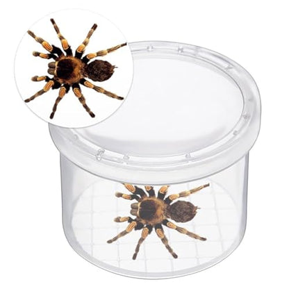12 Pcs Bug Viewer Critter, Magnifier Bug Catcher Cage