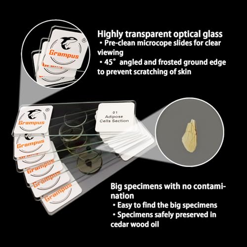 30 Prepared Microscope Slides with Specimens for Kids Students - Animal Microscope Slide Sets for Biological Lab, Children's Science Education, Homeschooling - style: 30PCS Animals