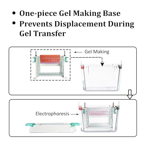 Parco Scientific PA-EL-V1 Vertical Electrophoresis System, Gel Protein Electrophoresis Machine, Vertical Gel Laboratory