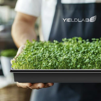 10x20 Inch Black Plastic 5 Pack Plant Propagation Tray - No Holes - color: Black, size: 5-Pack