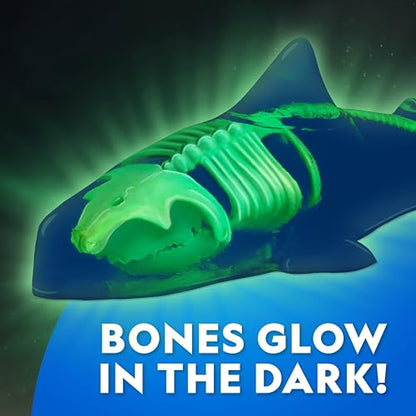 National Geographic Glow-in-the-Dark Shark Dissection Kit for Kids - style: Shark Dissection Kit