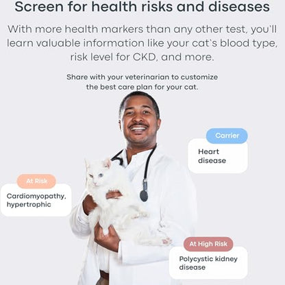 Basepaws Cat DNA Test Kit, Breed, Health & Dental Insights, 114 DNA Traits - size: 1 Count (Pack of 1)