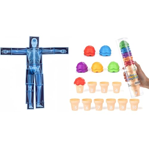 Ice Cream Counting Toy & Human Body X-Ray Set – Number Matching Cones and Anatomy Learning Cards for Kids STEM Education and Classroom Activities