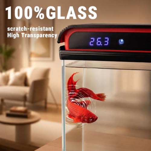 5 Gallon Fish Tank, Betta Aquarium Self-Cleaning Kits, 100% Glass Materia - size: 5 Gallon Fish Tank