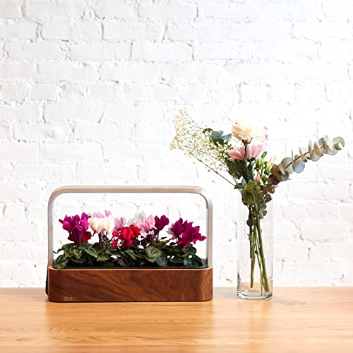edn Indoor Smart Garden with Basil SeedPods for iOS Devices