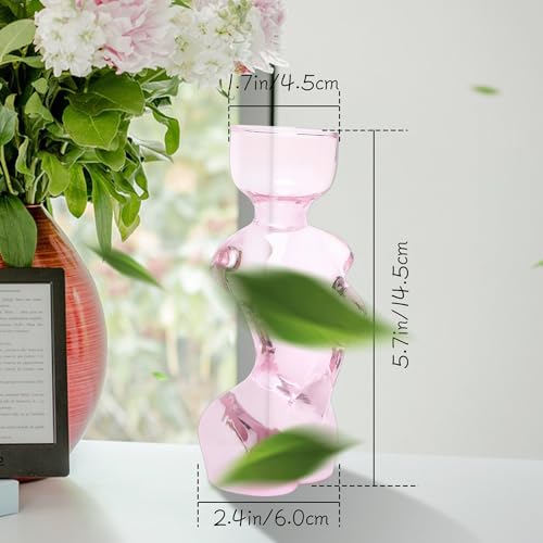 Plant Propagation Jars Unique Body Avocado Vase - color: Pink