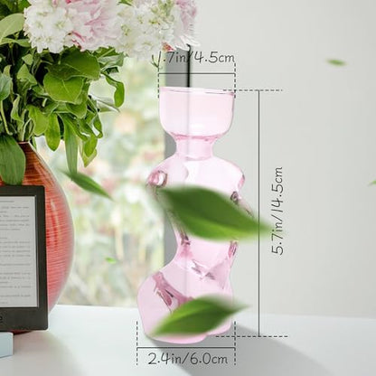 Plant Propagation Jars Unique Body Avocado Vase - color: Pink