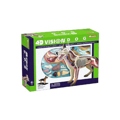 Tedco 4D Vision Dog Anatomy Model