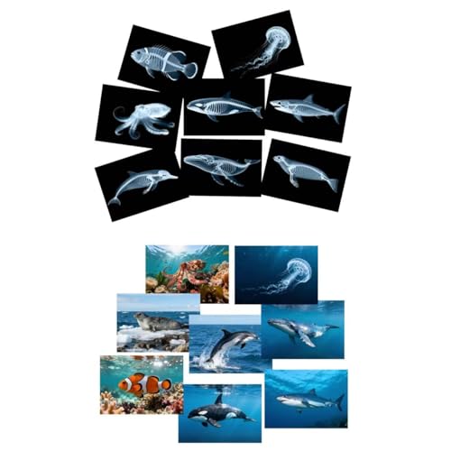 16 Animal X-Ray Set, Educational Science Kit for Kids to Explore Bone Structures for Lightstand Accessories, Light and Shadow Areas (Ocean Series) - color: Ocean Collection