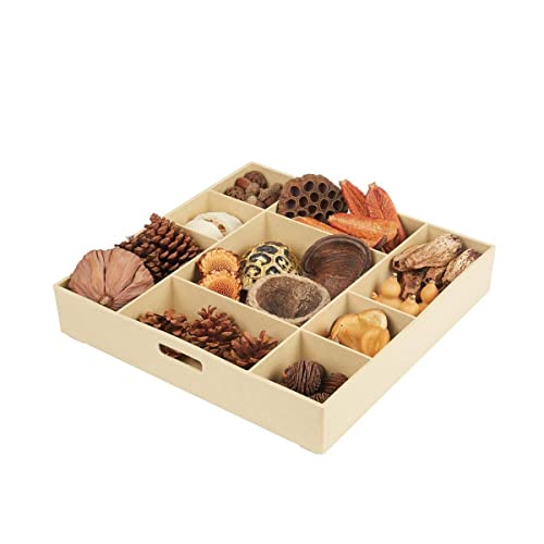 Kaplan Early Learning Company Nature's Geometry: Loose Parts STEM Kit