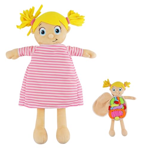 Vocheer Human Body Anatomy Toy, Human Body Model for Kids, Montessori Plush - color: Pink