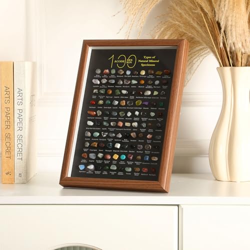 Doublefill 100 Pcs Natural Mineral Specimen Shadow Box, Real Rocks Crystals