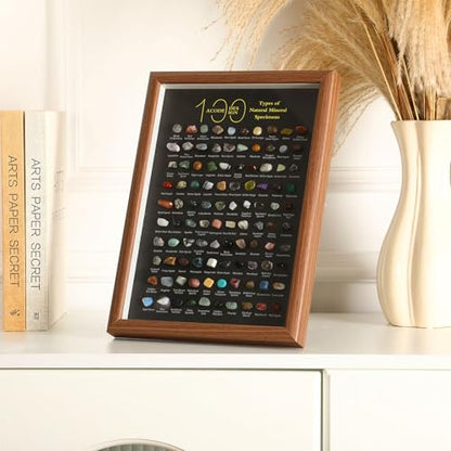 Doublefill 100 Pcs Natural Mineral Specimen Shadow Box, Real Rocks Crystals