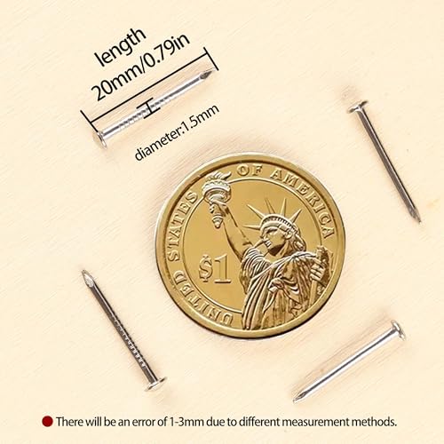newlng 500pcs Small Nail Round Head Tiny Nails String Art Nails Hand-Made Hardware Accessories Fasteners Mini Nail 1.5mm X 20mm/0.06"X0.8"(DXL) Silver - color: Silvery1.5*20mm