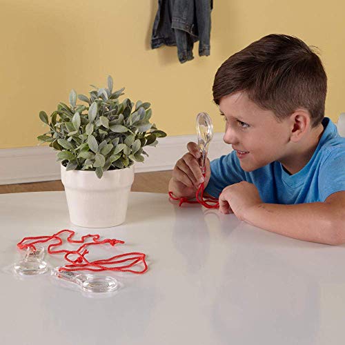 hand2mind Hand Lens with Lanyard, 3X and 6X Magnifier for Home, Classroom, Indoor and Outdoor Use (Pack of 10)