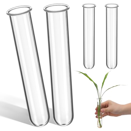 POPETPOP 4Pcs Plant Propagation Tubes : Clear Glass Test Tubes for Plants Hydroponic Propagation Vases for Home Office, 5.89X1.18X1.18in