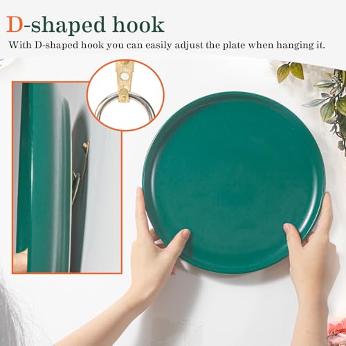 20 Pack Premium Adhesive Plate Hangers for the Wall